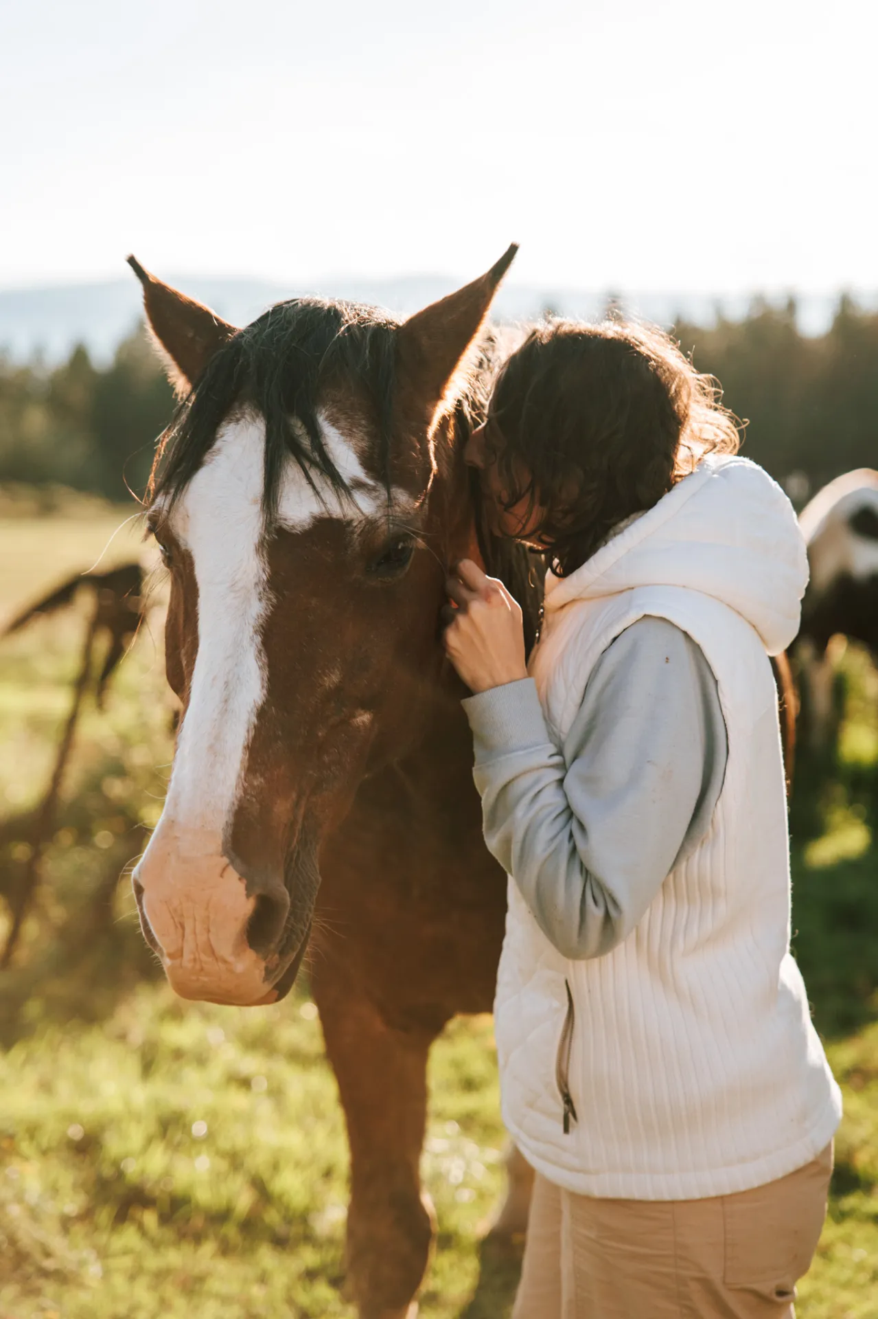 7-Day Healing with Horses Retreat South Africa photo 5