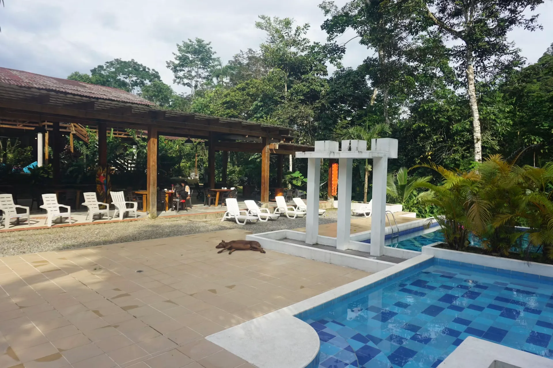 Medicine Maker Ayahuasca Retreat | Putumayo, Colombia photo 9