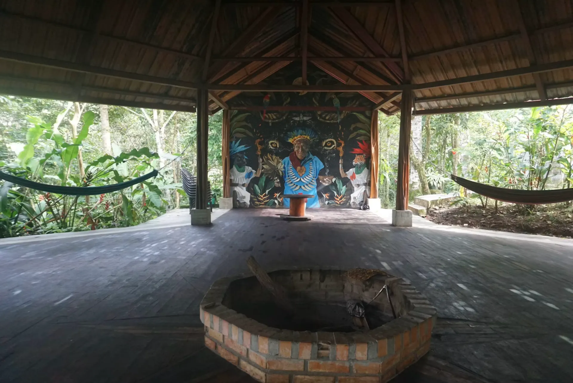 Medicine Maker Ayahuasca Retreat | Putumayo, Colombia photo 8