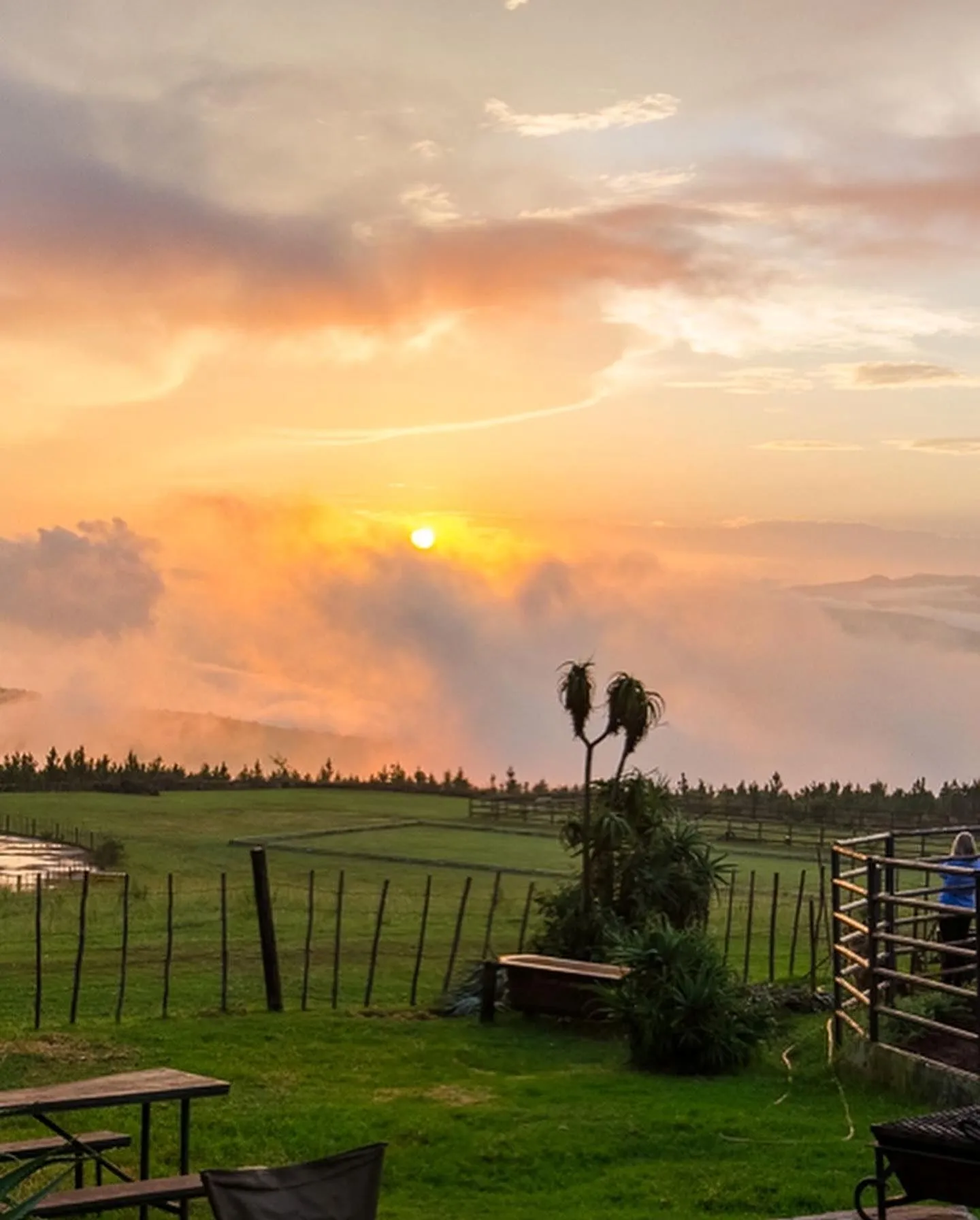 Sunset over the grasslands in South Africa, wellness retreat travel