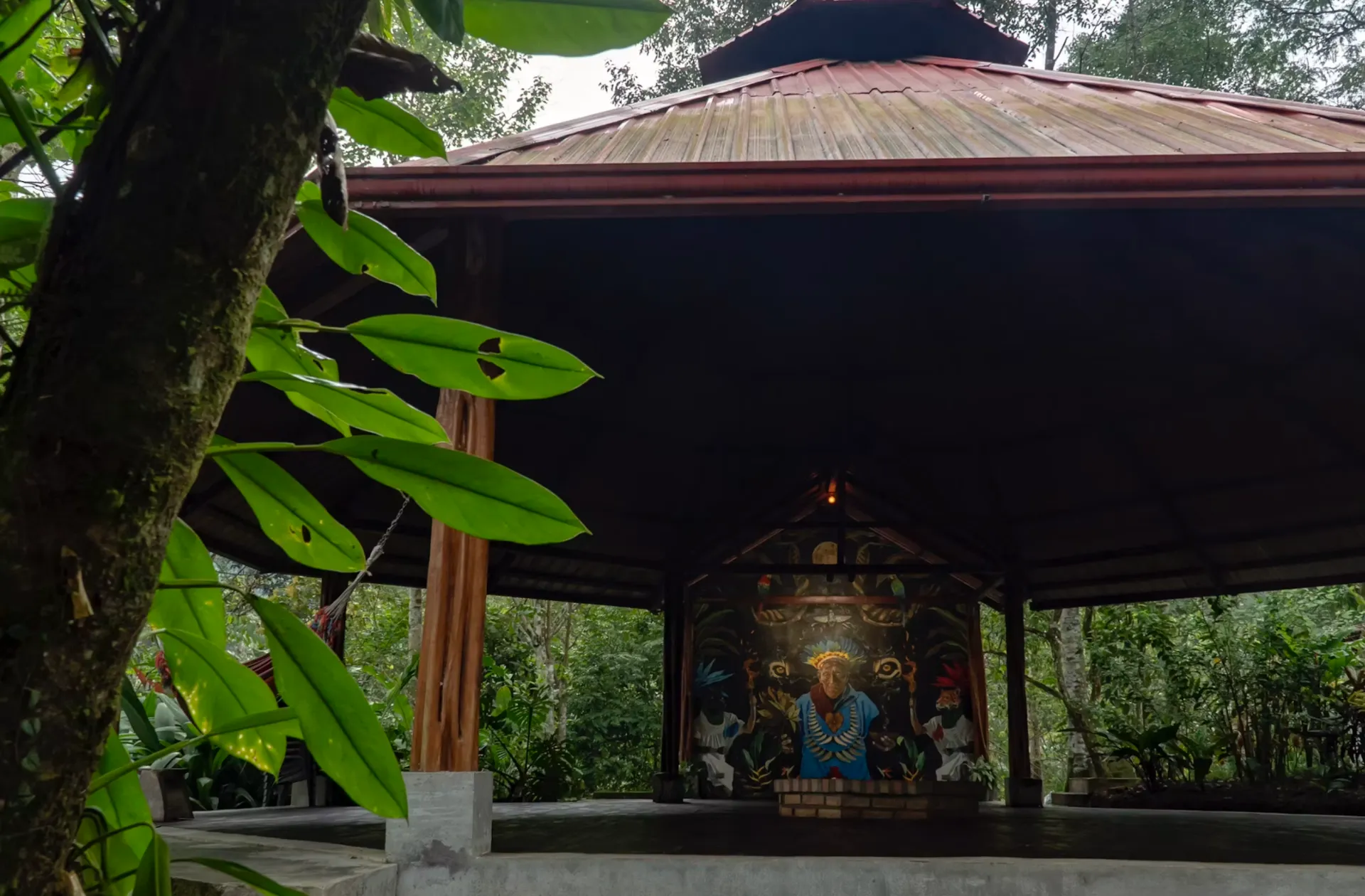Medicine Maker Ayahuasca Retreat | Putumayo​,​ Colombia - photo 3
