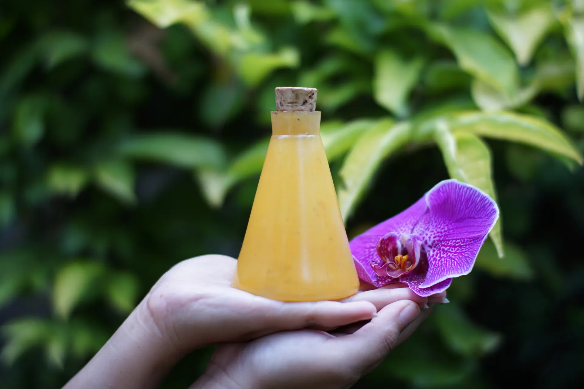 5-Day Mind Clarity Journey Retreat in Bali - photo 2
