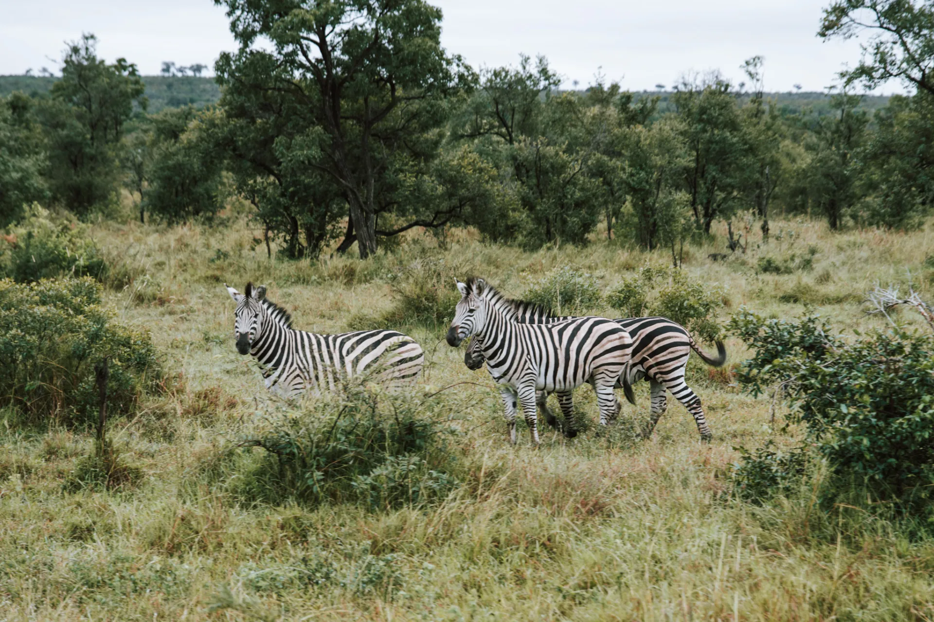 7-Day Healing with Horses Retreat South Africa photo 11