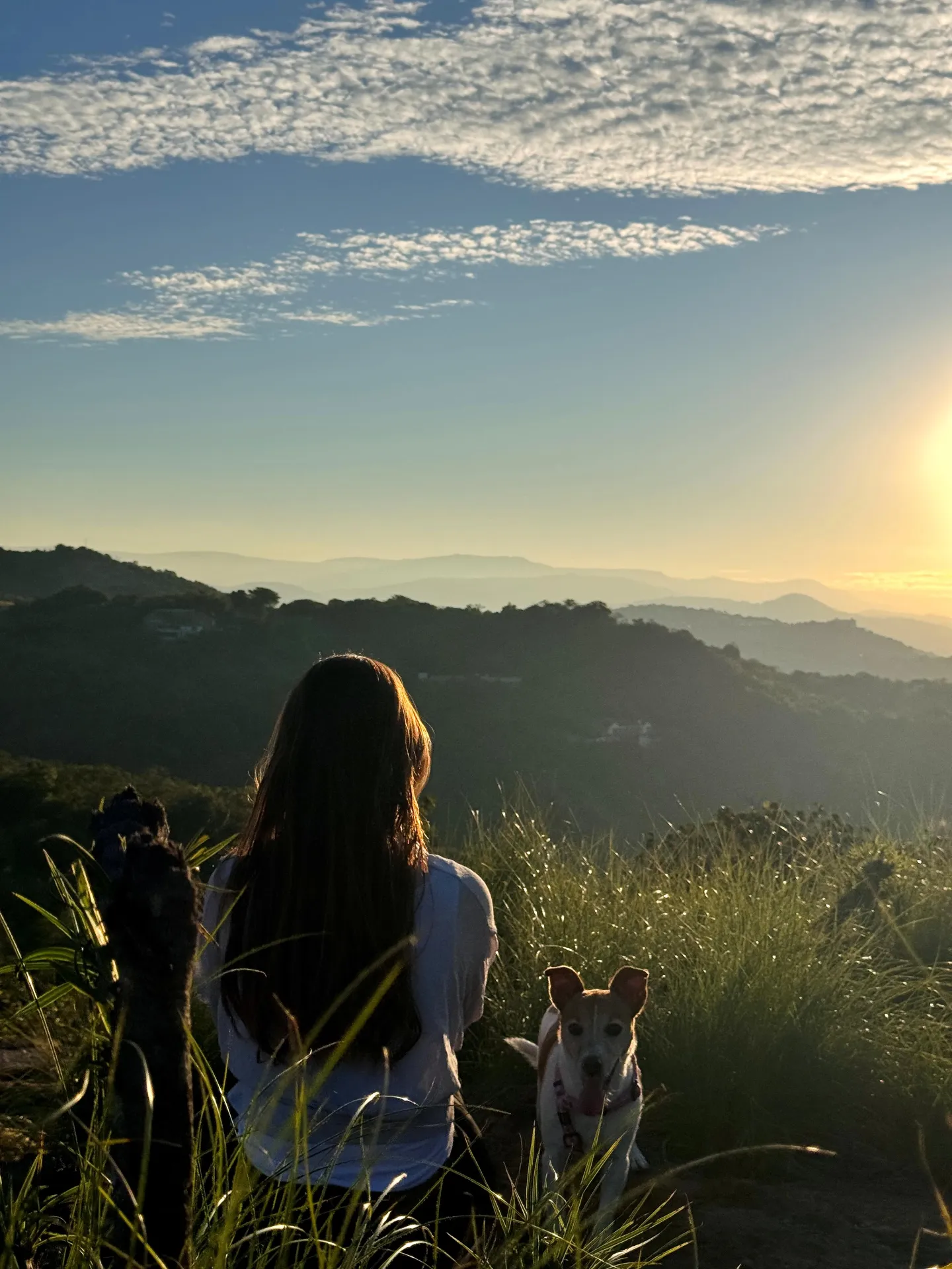 7-Day Healing with Horses Retreat South Africa photo 7