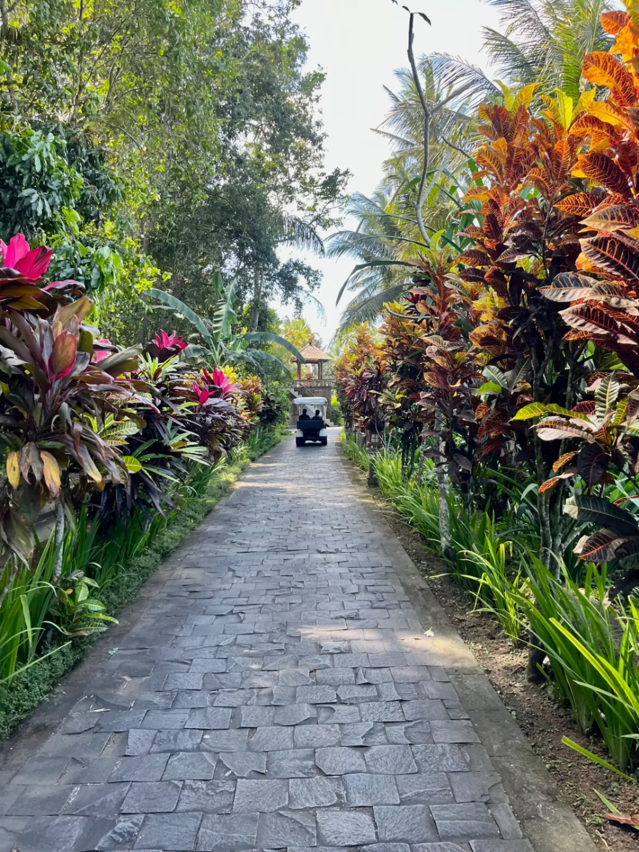 5-Day Mind Clarity Journey Retreat in Bali photo 5