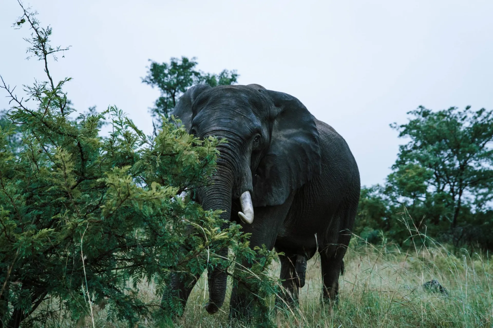 7-Day Healing with Horses Retreat South Africa photo 9