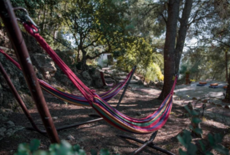 5 Day Freely, Softly, You: Plant Magic Women Only Retreat, Spain - photo 3