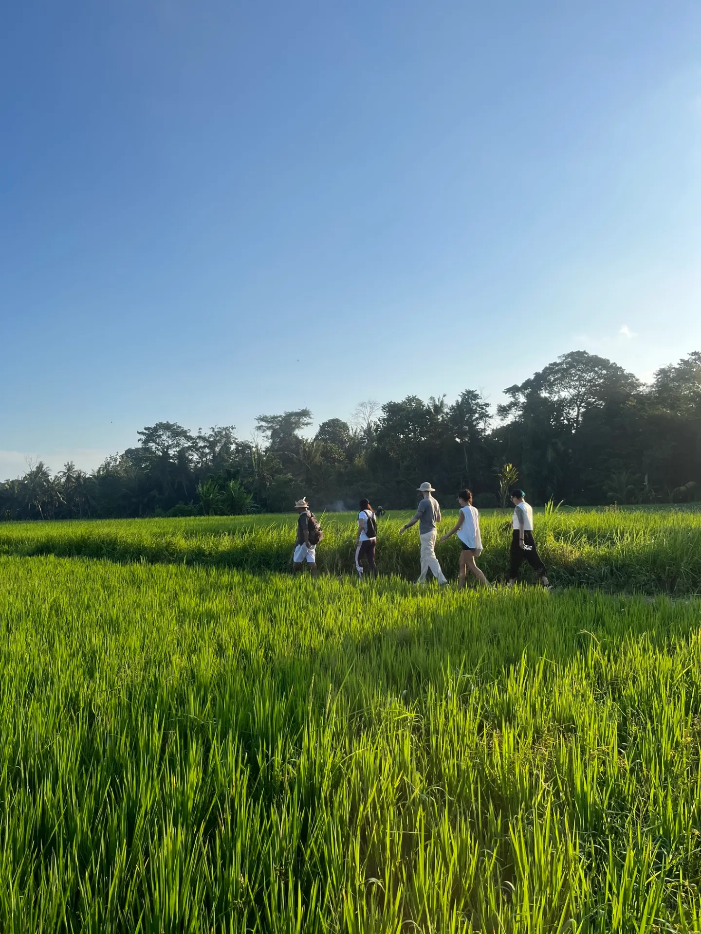 5-Day Mind Clarity Journey Retreat in Bali - photo 3
