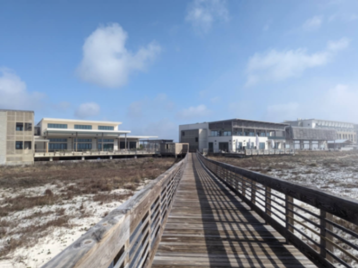 Beyond THAT Day: A Women's Wellness & Self-Discovery Retreat