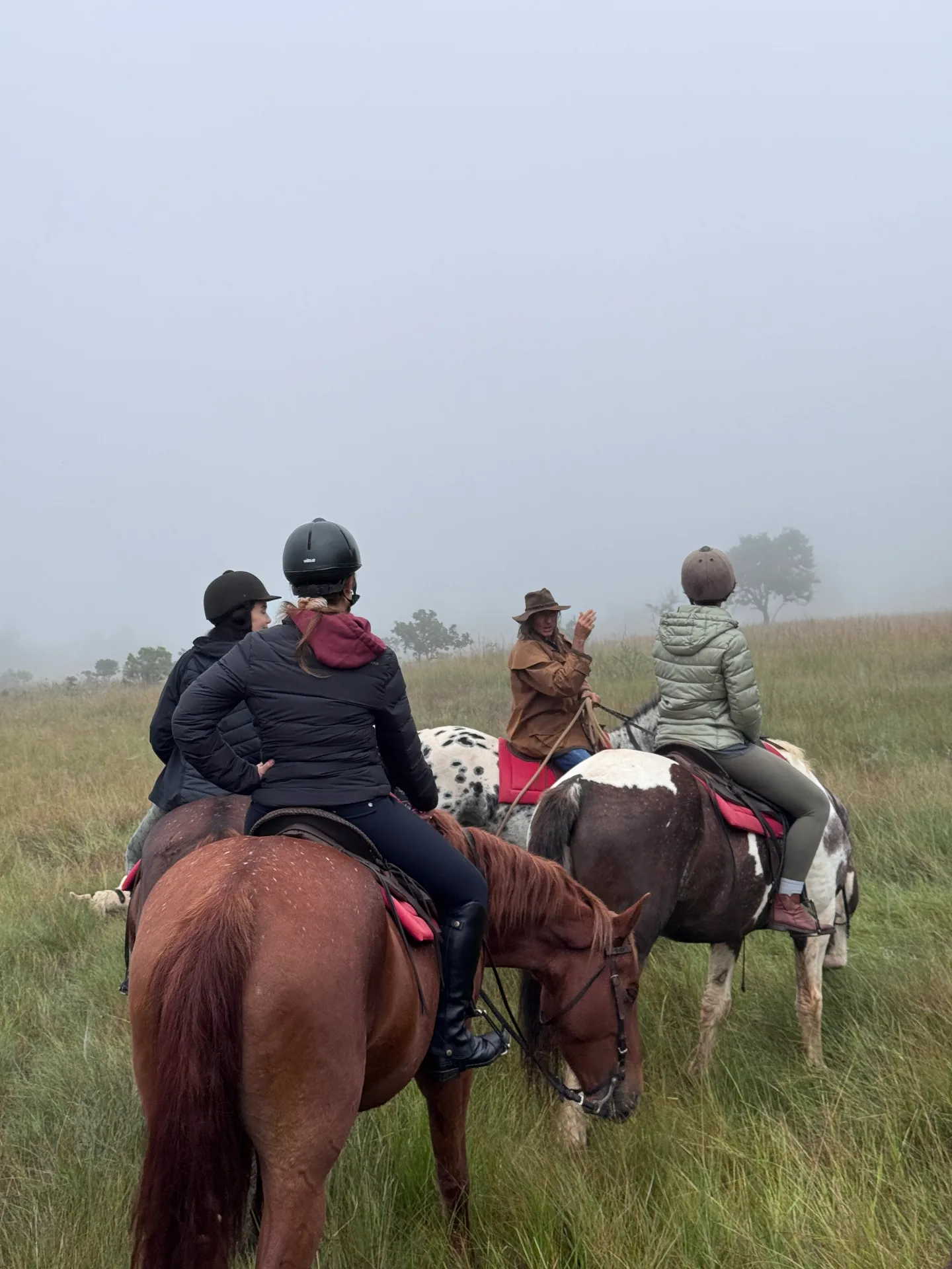 Guided horseback ride through the misty grasslands at the Healing with Horses retreat in South Africa