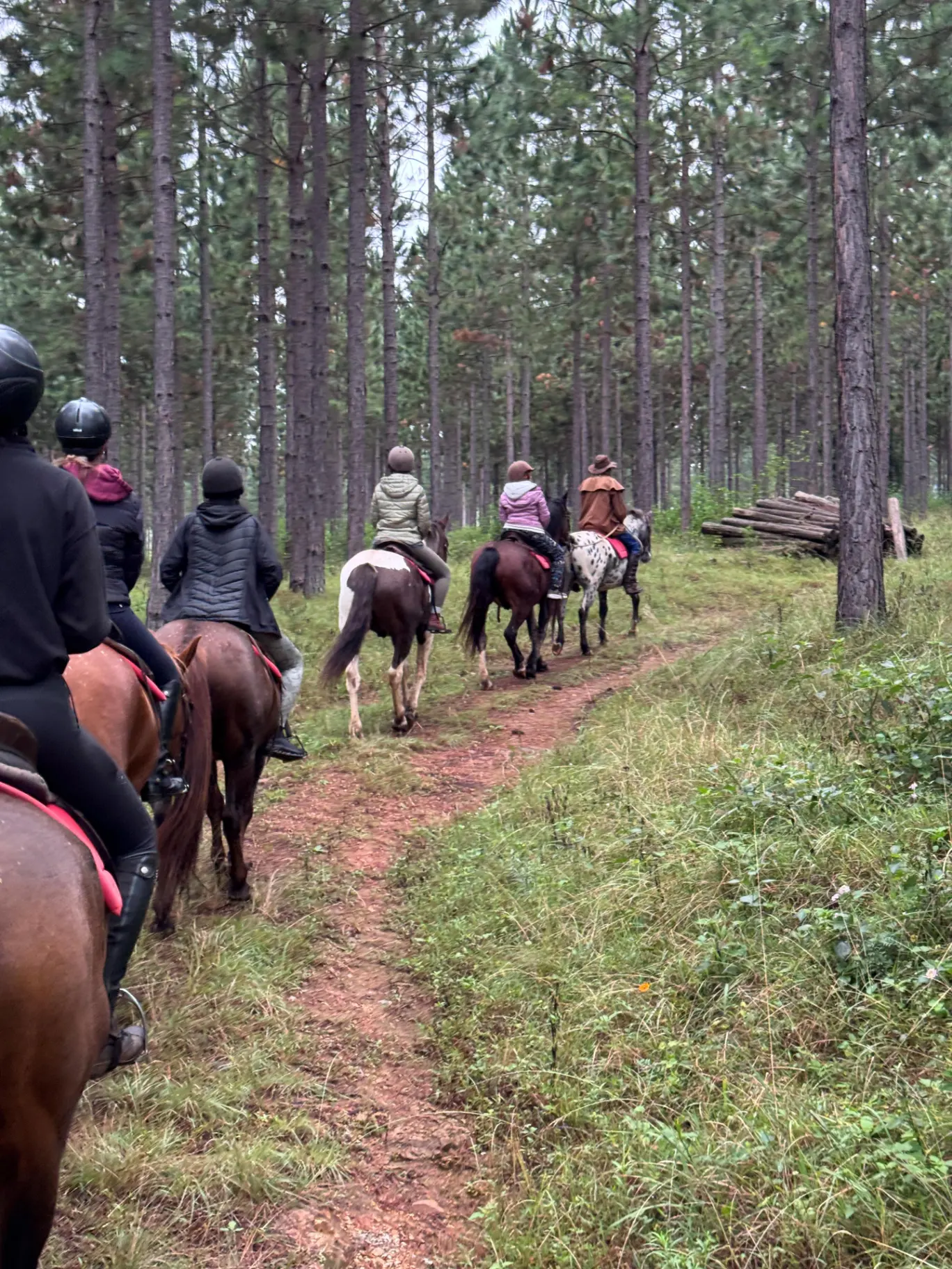 7-Day Healing with Horses Retreat South Africa - photo 3