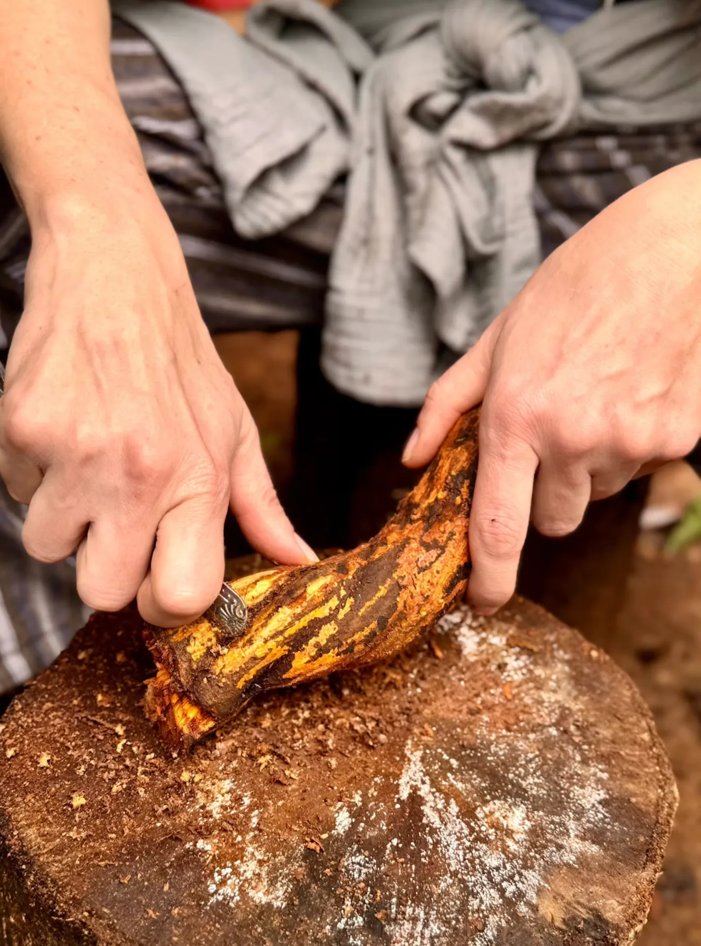 Medicine Maker Ayahuasca Retreat | Putumayo, Colombia photo 5