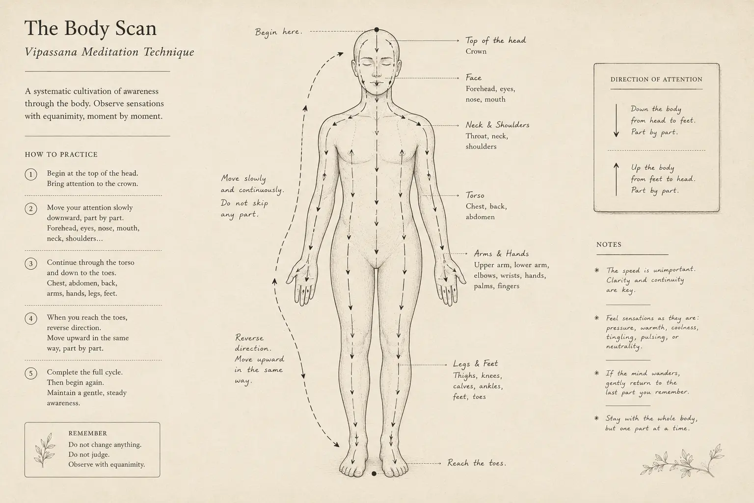 Visual breakdown of a typical day at a Vipassana retreat, from the 4 AM wake-up bell to the 9:30 PM lights-out.